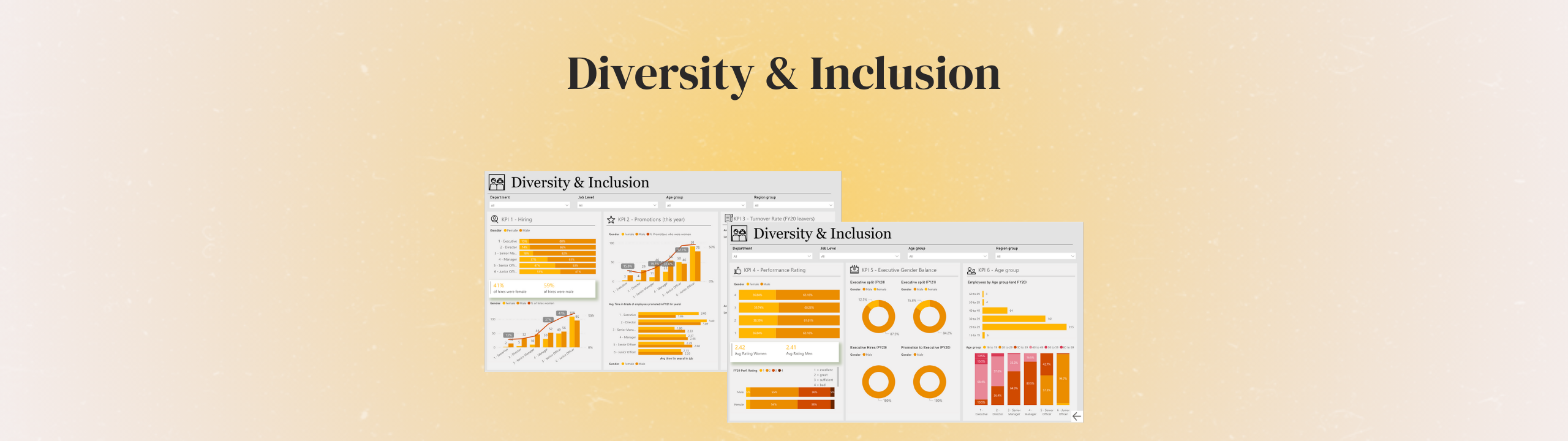 Diversity and inclusion dashboard overview