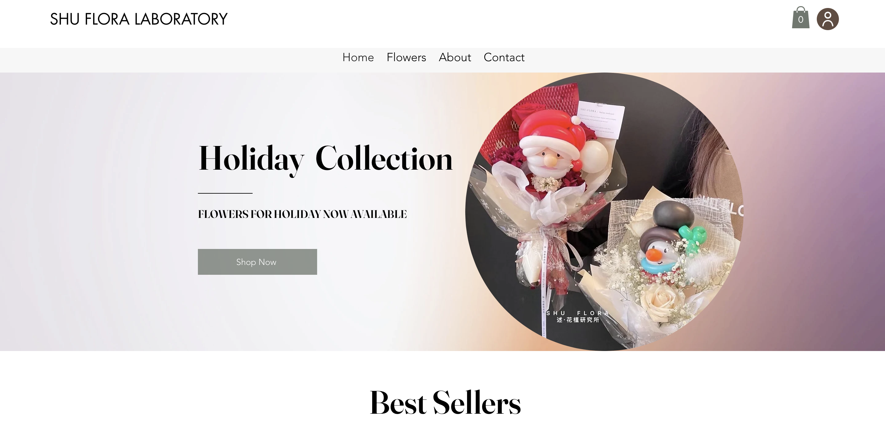 Homepage banner design