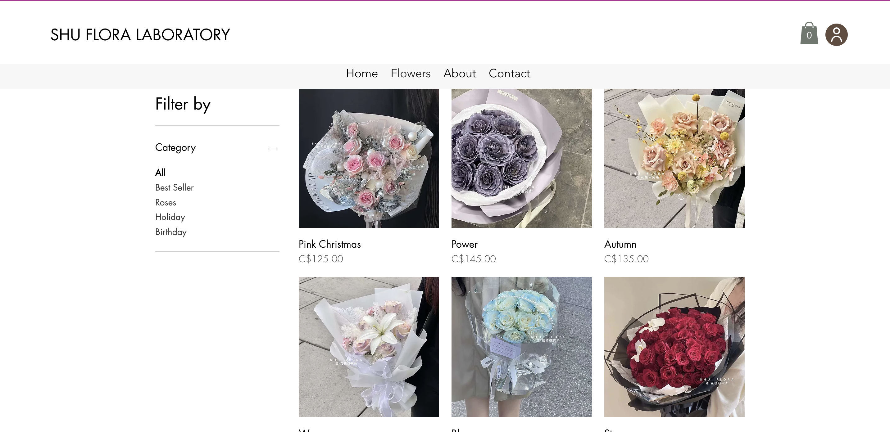 Filter and category layout